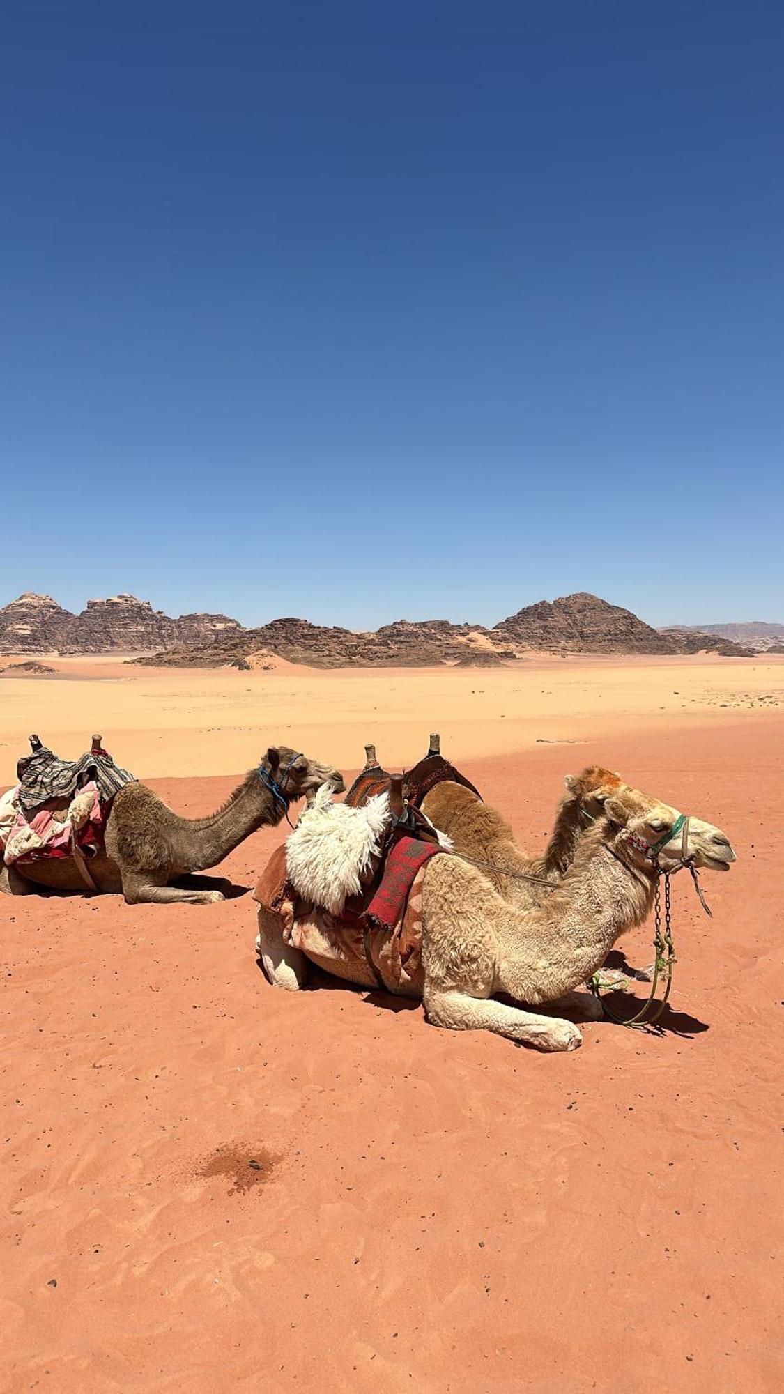 Wadi Rum nature Bagian luar foto